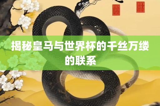 揭秘皇马与世界杯的千丝万缕的联系