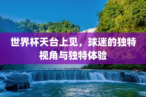 世界杯天台上见，球迷的独特视角与独特体验