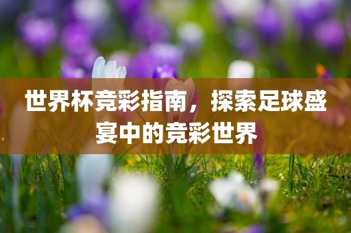 世界杯竞彩指南，探索足球盛宴中的竞彩世界
