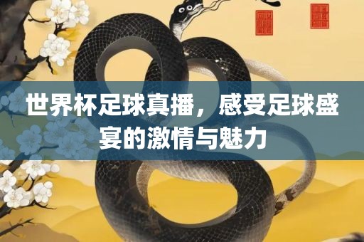 世界杯足球真播，感受足球盛宴的激情与魅力
