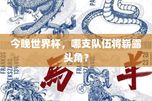 今晚世界杯，哪支队伍将崭露头角？