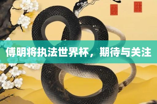 傅明将执法世界杯，期待与关注