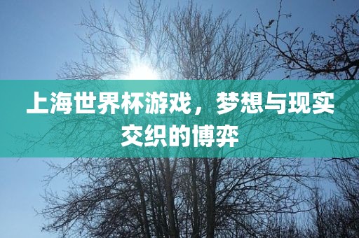 上海世界杯游戏，梦想与现实交织的博弈
