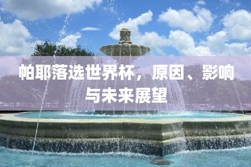 帕耶落选世界杯，原因、影响与未来展望