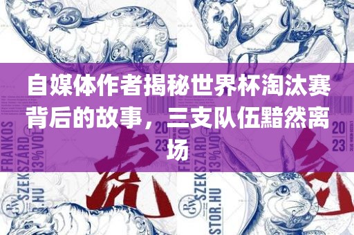 自媒体作者揭秘世界杯淘汰赛背后的故事，三支队伍黯然离场