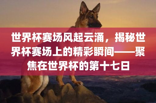 世界杯赛场风起云涌，揭秘世界杯赛场上的精彩瞬间——聚焦在世界杯的第十七日