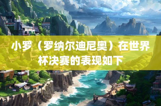 小罗（罗纳尔迪尼奥）在世界杯决赛的表现如下
