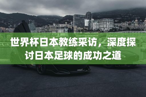 世界杯日本教练采访，深度探讨日本足球的成功之道