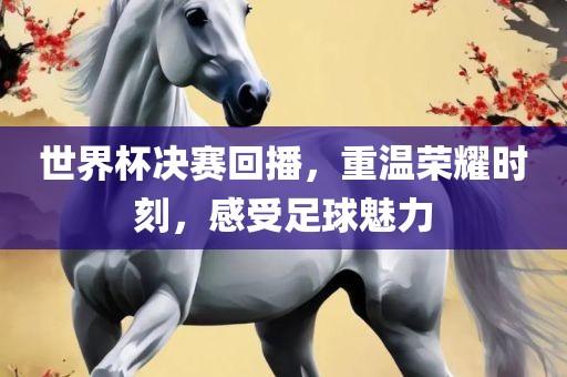 世界杯决赛回播，重温荣耀时刻，感受足球魅力