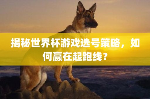 揭秘世界杯游戏选号策略，如何赢在起跑线？