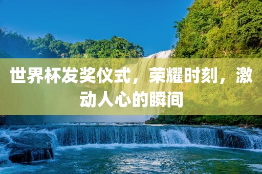 世界杯发奖仪式，荣耀时刻，激动人心的瞬间