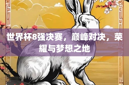世界杯8强决赛，巅峰对决，荣耀与梦想之地