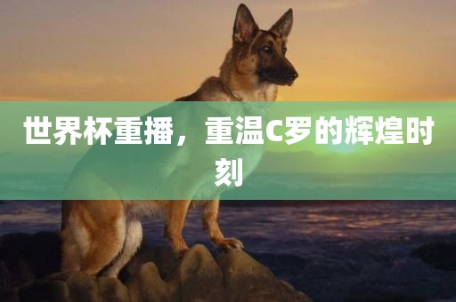 世界杯重播，重温C罗的辉煌时刻