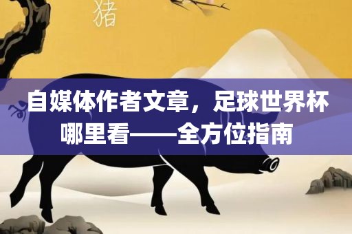 自媒体作者文章，足球世界杯哪里看——全方位指南
