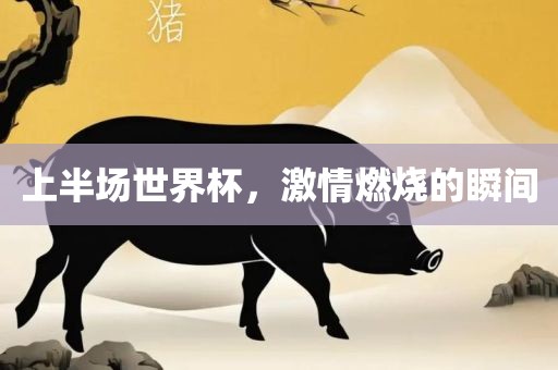 上半场世界杯，激情燃烧的瞬间