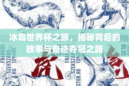 冰岛世界杯之旅，揭秘背后的故事与奇迹夺冠之路