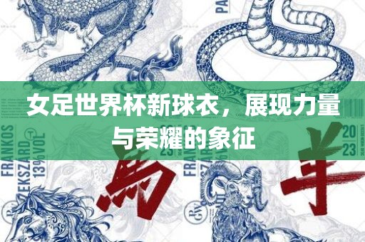 女足世界杯新球衣，展现力量与荣耀的象征