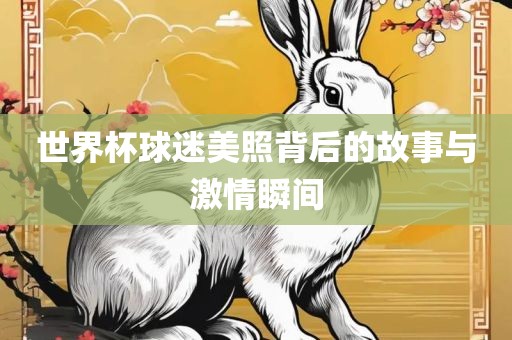 世界杯球迷美照背后的故事与激情瞬间