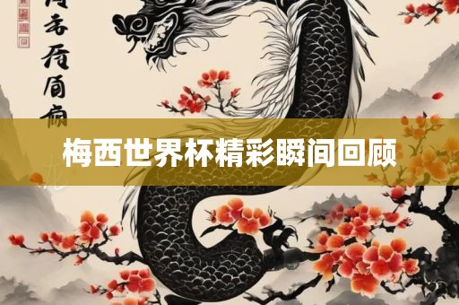 梅西世界杯精彩瞬间回顾