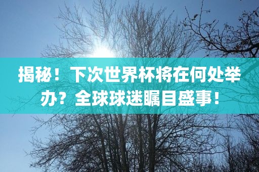 揭秘！下次世界杯将在何处举办？全球球迷瞩目盛事！