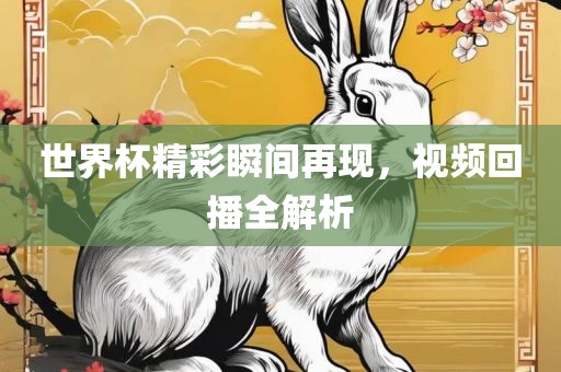 世界杯精彩瞬间再现，视频回播全解析