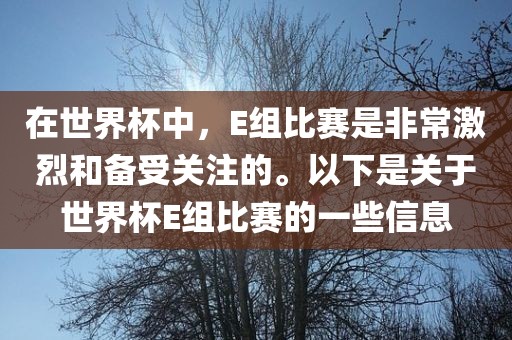 在世界杯中，E组比赛是非常激烈和备受关注的。以下是关于世界杯E组比赛的一些信息