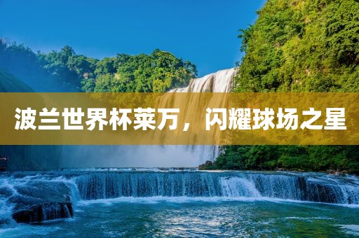 波兰世界杯莱万，闪耀球场之星
