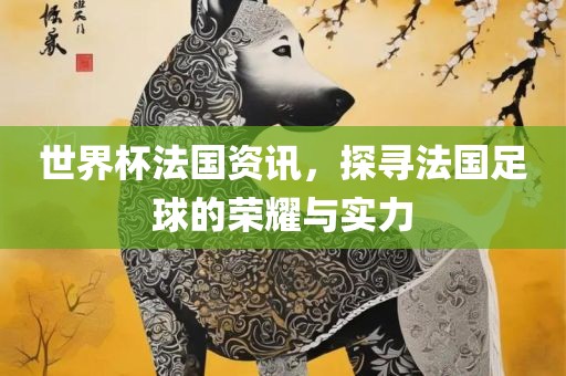 世界杯法国资讯，探寻法国足球的荣耀与实力