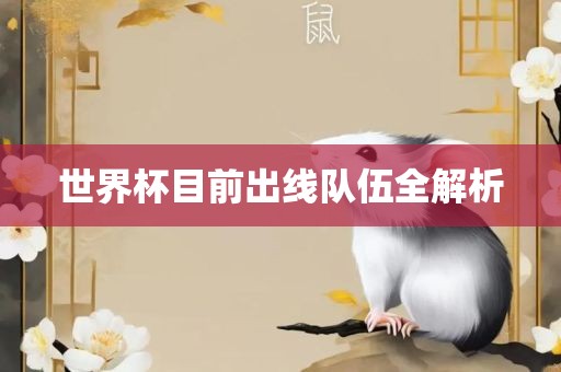 世界杯目前出线队伍全解析