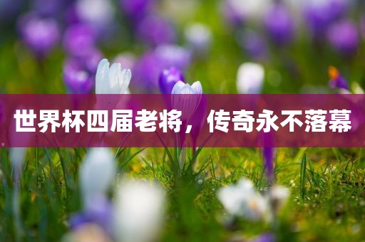 世界杯四届老将，传奇永不落幕