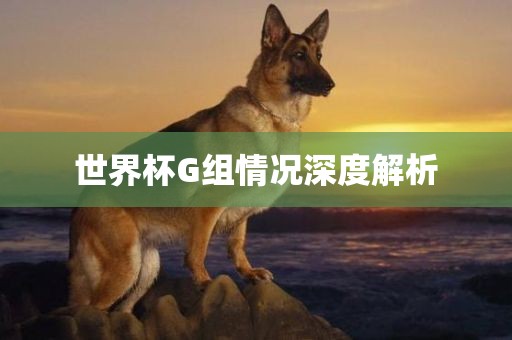 世界杯G组情况深度解析