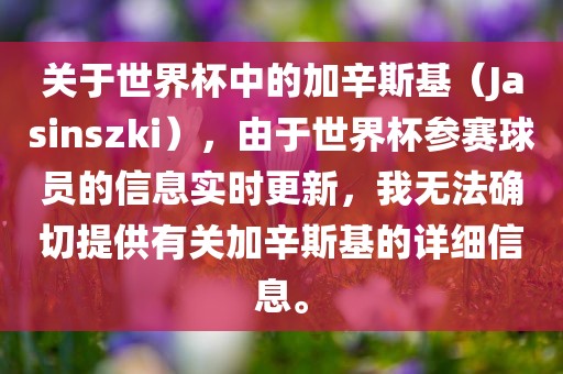 关于世界杯中的加辛斯基（Jasinszki），由于世界杯参赛球员的信息实时更新，我无法确切提供有关加辛斯基的详细信息。