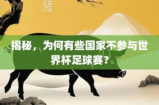 揭秘，为何有些国家不参与世界杯足球赛？