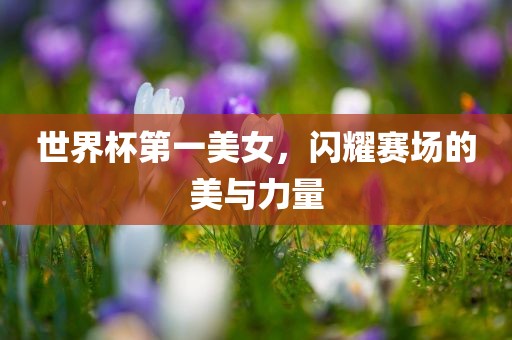 世界杯第一美女，闪耀赛场的美与力量
