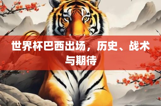 世界杯巴西出场，历史、战术与期待