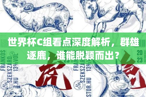 世界杯C组看点深度解析，群雄逐鹿，谁能脱颖而出？