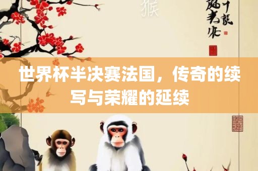 世界杯半决赛法国，传奇的续写与荣耀的延续