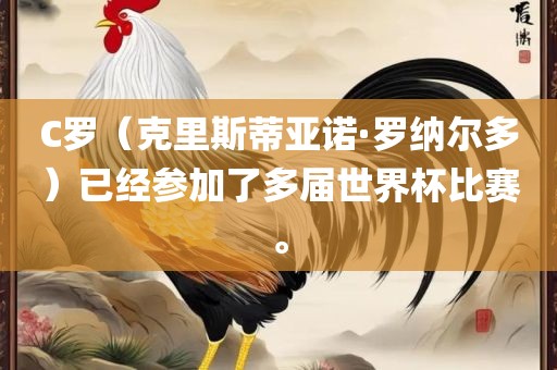 C罗（克里斯蒂亚诺·罗纳尔多）已经参加了多届世界杯比赛。