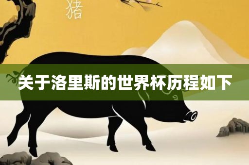 关于洛里斯的世界杯历程如下