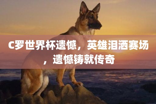 C罗世界杯遗憾，英雄泪洒赛场，遗憾铸就传奇