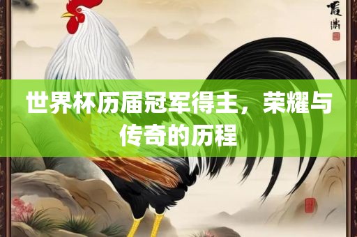 世界杯历届冠军得主，荣耀与传奇的历程