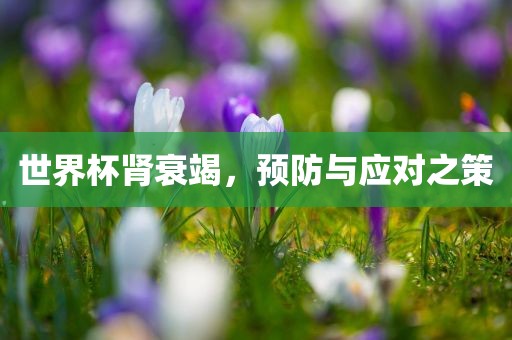 世界杯肾衰竭，预防与应对之策