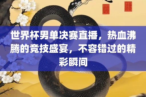 世界杯男单决赛直播，热血沸腾的竞技盛宴，不容错过的精彩瞬间