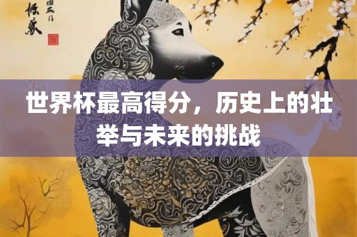 世界杯最高得分，历史上的壮举与未来的挑战