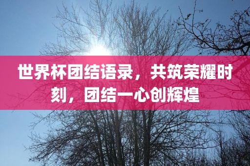 世界杯团结语录，共筑荣耀时刻，团结一心创辉煌