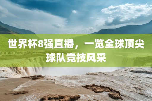 世界杯8强直播，一览全球顶尖球队竞技风采