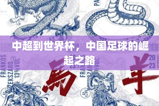 中超到世界杯，中国足球的崛起之路