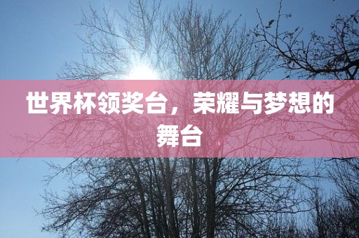 世界杯领奖台，荣耀与梦想的舞台