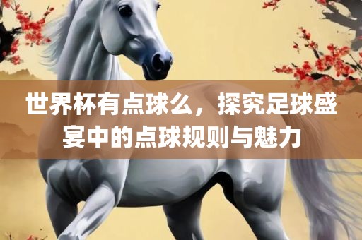 世界杯有点球么，探究足球盛宴中的点球规则与魅力
