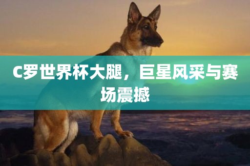 C罗世界杯大腿，巨星风采与赛场震撼